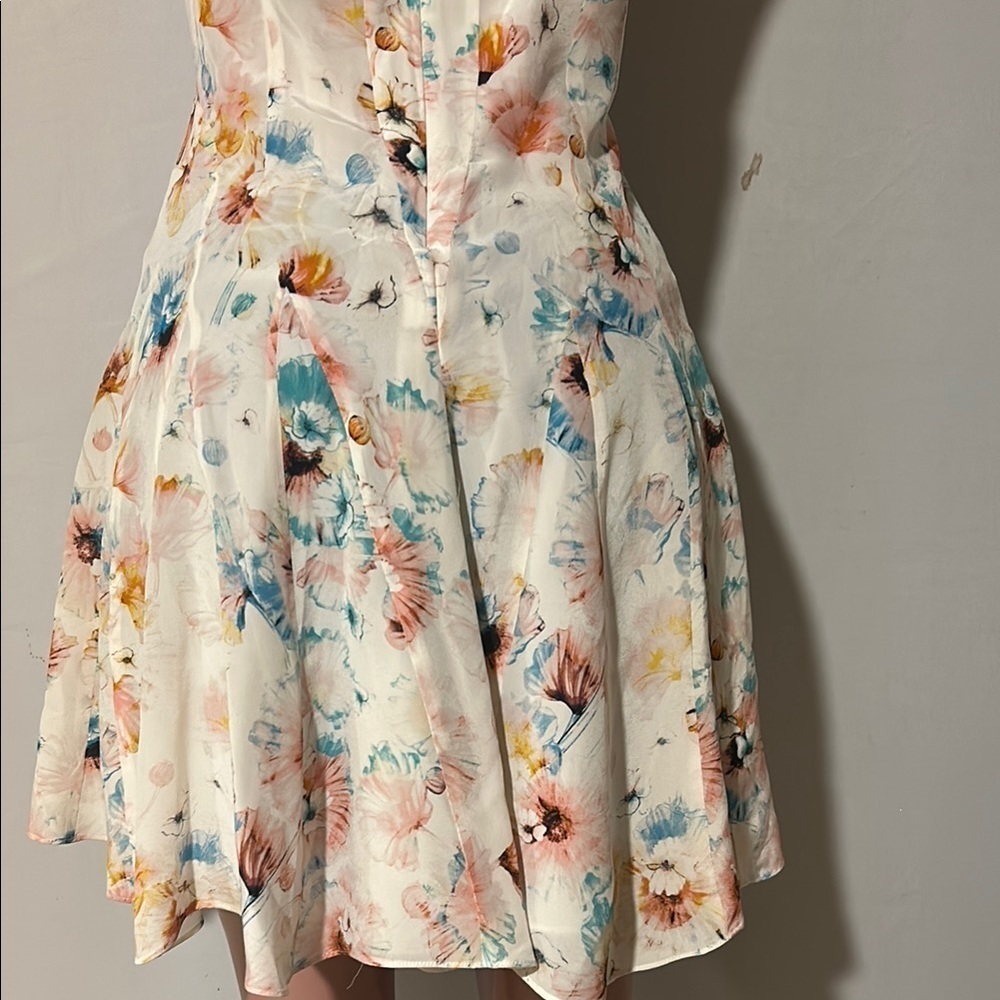 Rebecca Taylor Poppy Print 100% Silk Godet Lined Dress Size 8 - Picture 10 of 16